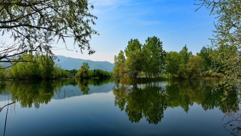 Sakarya Evden Eve Nakliyat