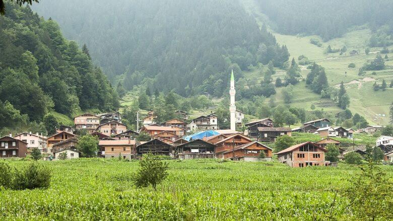 Trabzon Evden Eve Nakliyat